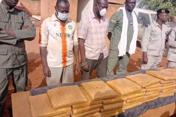 Tahoua : trois interpellations et plus de 50 kg de cannabis saisis, un réseau transfrontalier mis en lumière