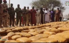 Lutte contre le trafic de drogue : les FDS font une importante saisie à Damagaram Takaya (Zinder)