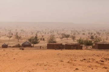 Au Niger, le défi de la désertification (Omar sylla)