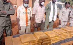 Tahoua : trois interpellations et plus de 50 kg de cannabis saisis, un réseau transfrontalier mis en lumière