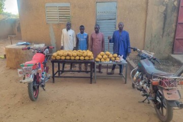 Kantché : plus de 23 kg de cannabis saisis et trois réseaux de trafic démantelés