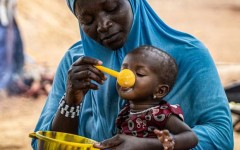Urgence humanitaire : 55 millions de personnes confrontées à l'insécurité alimentaire en Afrique de l’Ouest et du Centre (ONU)
