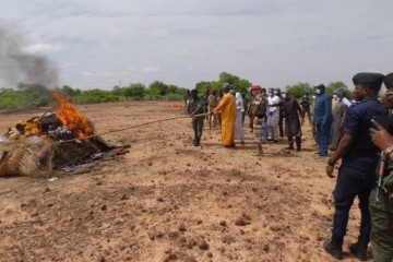 Dosso : Plus de 300 kg de drogues d'une valeur de 420 millions F CFA incinérés pour marquer la lutte contre le trafic