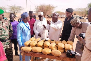 Trafic de drogue : 263 000 comprimés d’ecstasy saisis et un réseau international démantelé dans la région de Tahoua