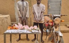 Lutte antidrogue à Matameye : une importante cargaison saisie et deux suspects interpellés à Youri