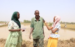 Journée mondiale de l’enfance 2025 : au Niger, des enfants deviennent journalistes pour porter leur propre voix