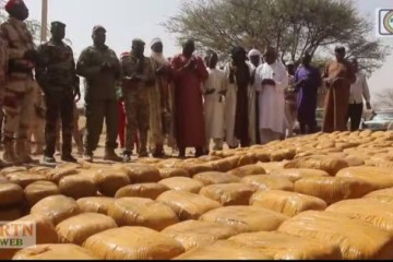 Lutte contre le trafic de drogue : les FDS font une importante saisie à Damagaram Takaya (Zinder)