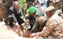 Journée nationale de l’Arbre (JNA 2026) : le Général Tiani, hôte des populations de Maradi