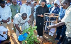 80 ans de l’ONU : à Niamey, les Nations Unies et la Ville plantent la vie pour l’avenir